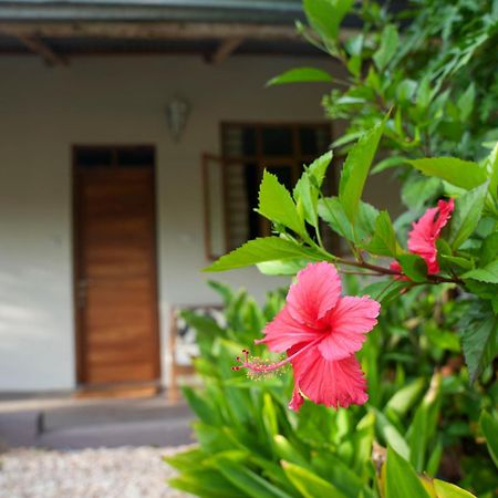 Kendwa Breeze Bungalows Esterno foto