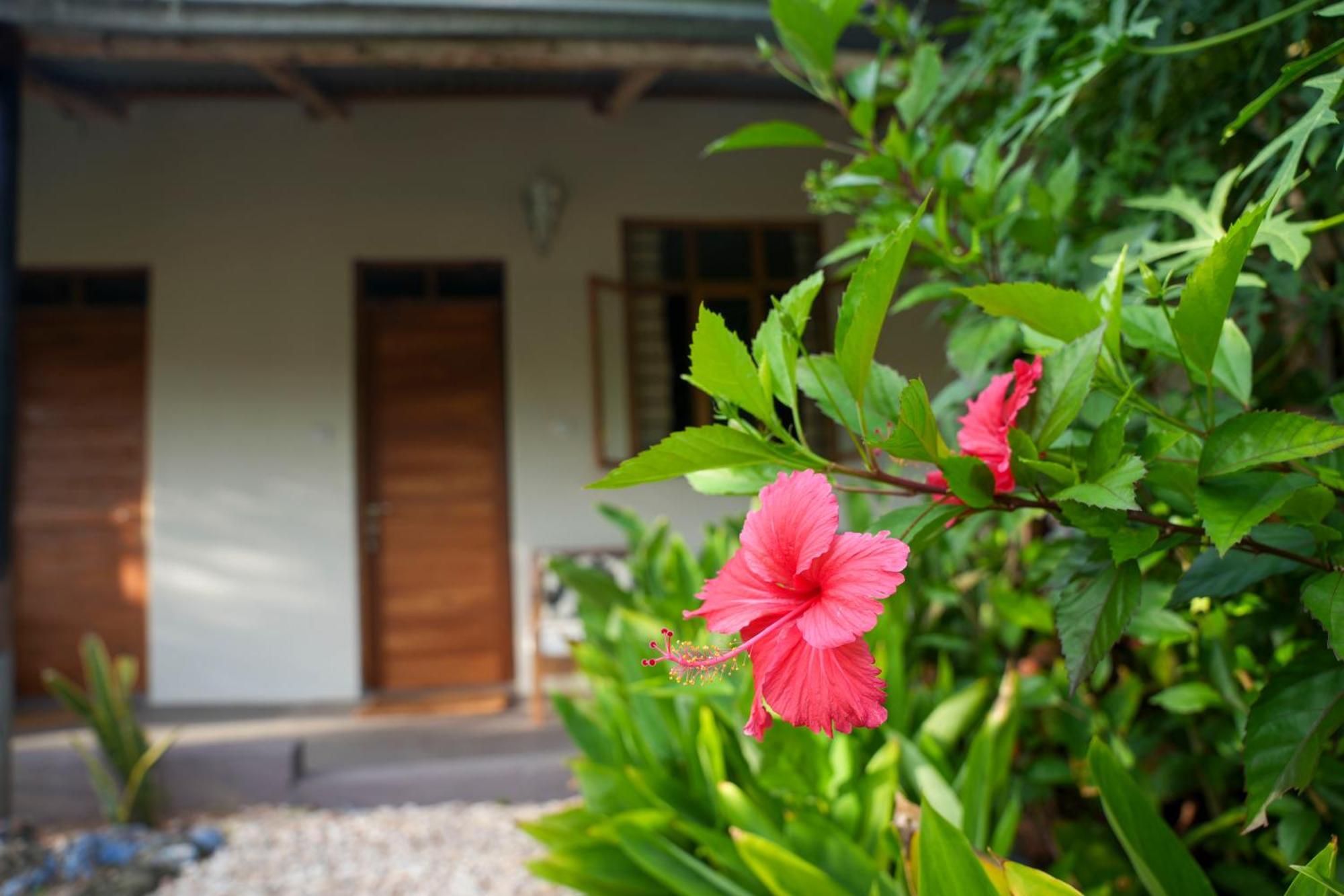 Kendwa Breeze Bungalows Esterno foto